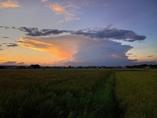 IMG_20240902_180954838_HDR.jpeg