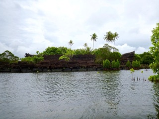 P1010217.jpg