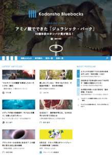 Screenshot-2018-5-31 ブルーバックス 講談社.png
